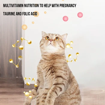 120 Tabletta Macska Multivitaminok Pet Nutrition Taurin, folsav Felnőtt Macskák, Cicák újdonságok 120 Tabletta Macska Multivitaminok Pet Nutrition Taurin, folsav Felnőtt Macskák, Cicák újdonságok 4